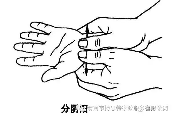640.webp (2).jpg